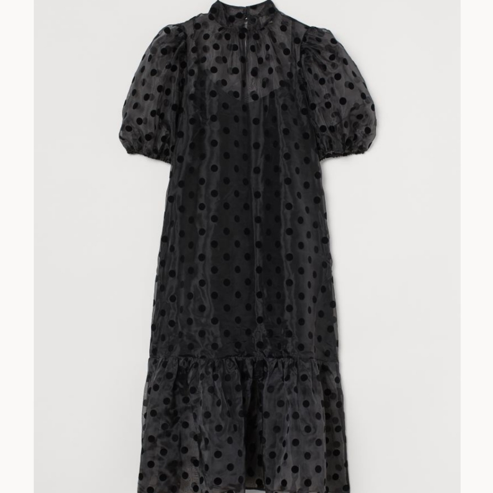 HM puff sleeves Organza dress